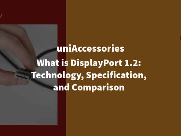 What is DisplayPort 1.2